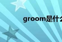 groom是什么意思（groom）