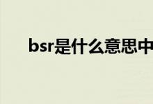 bsr是什么意思中文（bsr是什么意思）