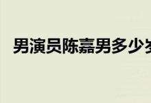 男演员陈嘉男多少岁(女演员陈嘉男多大)