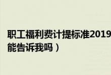 职工福利费计提标准2019（职工福利费的提取比例各是多少能告诉我吗）