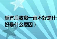 感冒后咳嗽一直不好是什么原因造成的（感冒后咳嗽一直不好是什么原因）