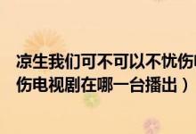 凉生我们可不可以不忧伤电视剧全（凉生我们可不可以不忧伤电视剧在哪一台播出）