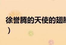 徐誉腾的天使的翅膀(徐誉滕天使的翅膀故事)