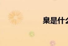 臬是什么意思（臬）
