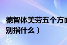 德智体美劳五个方面个人总结（德智体美劳分别指什么）