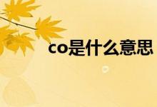 co是什么意思（coa是什么证书）