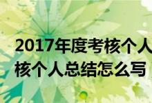 2017年度考核个人工作总结（2017年年度考核个人总结怎么写）