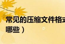 常见的压缩文件格式有哪些（压缩文件格式有哪些）