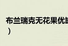 布兰瑞克无花果优缺点（布兰瑞克无花果特点）