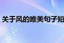 关于风的唯美句子短句（关于风的唯美句子）