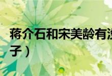 蒋介石和宋美龄有没有小孩（蒋介石宋美龄孩子）