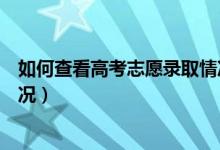 如何查看高考志愿录取情况查询（如何查看高考志愿录取情况）