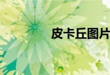 皮卡丘图片大全（皮卡王）