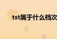 tst属于什么档次（tst化妆品怎么样）