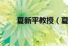 夏新平教授（夏新平情人周琦照片）