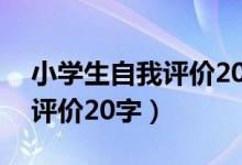 小学生自我评价20字简洁大气（小学生自我评价20字）