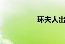环夫人出身（环夫人）
