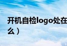 开机自检logo处在哪（开机自检logo处是什么）