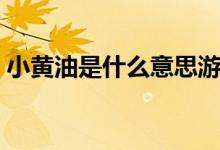 小黄油是什么意思游戏（黄油游戏什么意思）