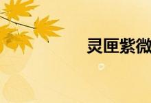 灵匣紫微斗数（灵匣）