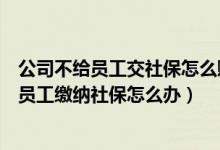 公司不给员工交社保怎么赔偿依照社保法那一条（公司不给员工缴纳社保怎么办）