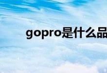 gopro是什么品牌（gopro是什么）