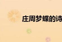 庄周梦蝶的诗(庄周梦蝶诗句)