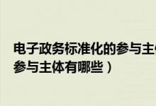 电子政务标准化的参与主体有哪些方面（电子政务标准化的参与主体有哪些）