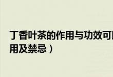 丁香叶茶的作用与功效可以做为茶吗(丁香叶茶的功效与作用及禁忌)