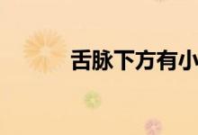 舌脉下方有小疙瘩图片（舌脉）
