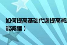 如何提高基础代谢提高减肥效率（怎样提高基础代谢率但又能减脂）