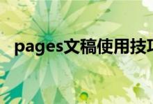 pages文稿使用技巧（pages文件阅读器）