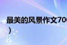 最美的风景作文700字初中（最美的风景作文）