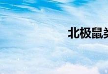 北极鼠类（北极鼠）
