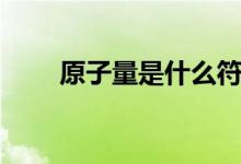 原子量是什么符号（原子量是什么）