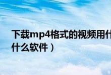 下载mp4格式的视频用什么网站（下载mp4格式的视频用什么软件）