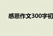 感恩作文300字初中（感恩作文300字）