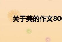 关于美的作文800字（关于美的作文）