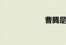 曹腾是谁（曹腾）