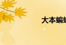 大本蝙蝠侠（大本）