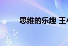 思维的乐趣 王小波（思维的乐趣）