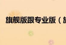 旗舰版跟专业版（旗舰版和专业版的区别）
