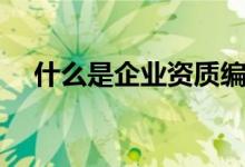 什么是企业资质编码（什么是企业资质）