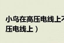 小鸟在高压电线上不会触电的原因（小鸟在高压电线上）