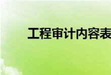 工程审计内容表格（工程审计内容）