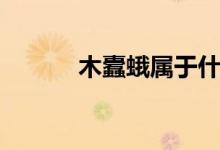 木蠹蛾属于什么生殖（木蠹蛾）