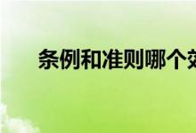 条例和准则哪个效力高（条例和准则）