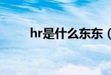 hr是什么东东（HR是什么的缩写）