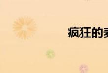 疯狂的麦克斯2免费