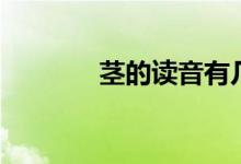 茎的读音有几个(茎的读音)
